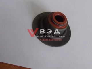 Колпачек маслосъемный Евро 4 комп D04-105-900+B