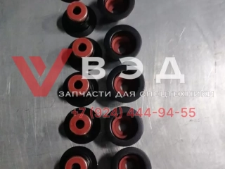 Маслосъёмные колпачки D9-220 компл D04-105-30