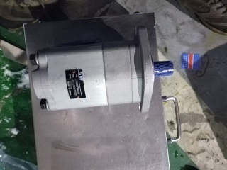 Гидромотор редуктора карусели 730250000316 для SWDRT250