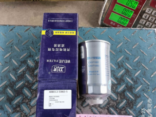 Фильтр топливный грубой очистки 720000238 для LGCE LG833L