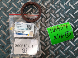 Сальник раздаточной коробки 860618731 для автокрана XCT25L4_SR