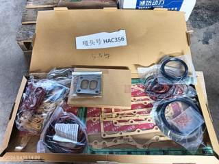 Ремкомплект двигателя Mitsubishi 6D24-TLU2I для гусеничного крана Hitachi Sumitomo